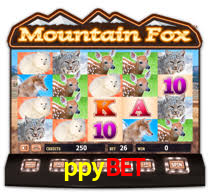 Programa VIP ppybet