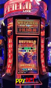 Football Betting ppybet